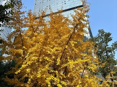 -二刀潮牛(重庆光环购物公园店)