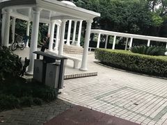 -瀛洲公园