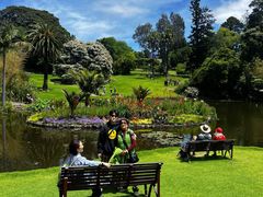 -墨尔本皇家植物园