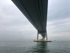 -招商蛇口邮轮母港(观光客运)