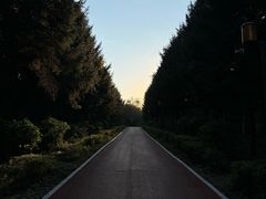 -长春市南湖公园