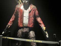 -奥斯卡升龙国际影城(RealD Cinema)