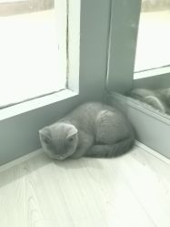 -轩舞汇·爵士舞街舞训练营