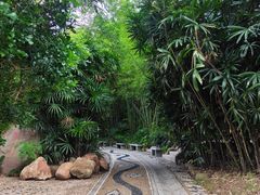 -人民公园(罗湖区)