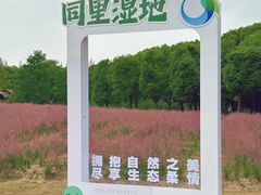 -同里国家湿地公园