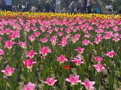 -长春公园(普阳街道)