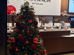 -Laderach 莱德拉(上海环贸iapm店)