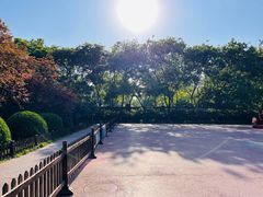 -莲花池公园