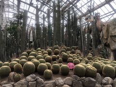 -南山植物园