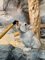 -Zoolung Zoolung动物主题公园(海信广场店)