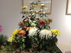 -汇龙潭