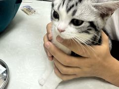 -中农国际动物医院24小时·猫科·骨科·急重症中心