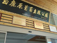 -白鹿原葡萄主题公园