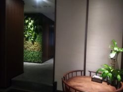 -禾颜社·精致美容