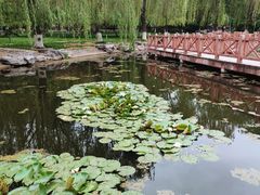 -丰台科技园生态主题公园