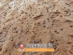-刘家湾赶海园