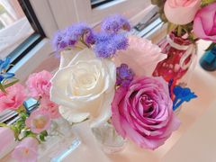 -曲阳花鸟市场(曲阳路店)