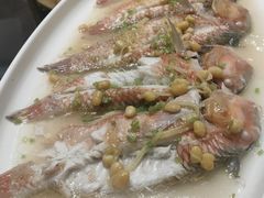 鹦歌鱼-鱼篮仔·潮汕美食(圆明新园店)