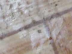 -西湖外事游船(花港观鱼码头)