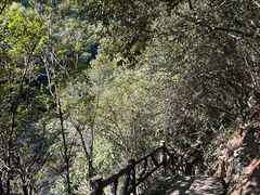 -黄山翡翠谷景区