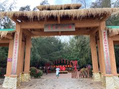 -北海金海湾红树林生态旅游区