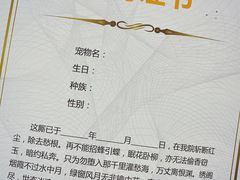-伟伟宠物医院·CT影像中心·瑞派犬猫综合性门诊(汉口总院)