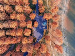 -黄海国家森林公园