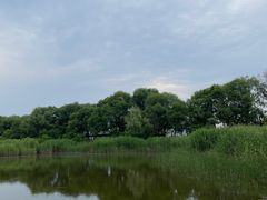-西湖风景区-江洋畈生态公园