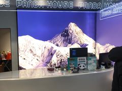 -熊猫屋(宽窄巷子景区店)