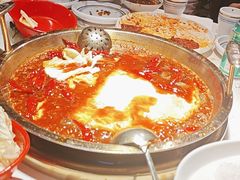 -二荆条·城市森林火锅旗舰店