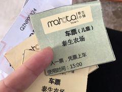 -太阳岛度假酒店