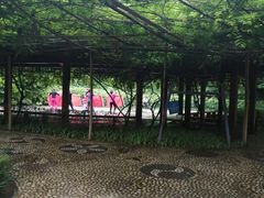 -西安市长乐公园