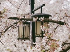 -苏州上方山国家森林公园