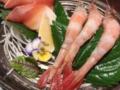 精选刺身拼盘-小乔回转寿司(铁东万象汇店)