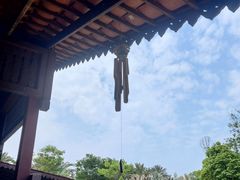 -东莞植物园