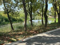 -同里国家湿地公园