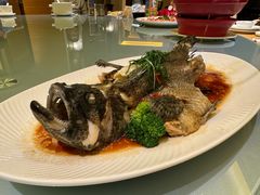 -绿岛国际酒店·海鲜酒楼(八七路店)