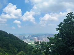 -惠山国家森林公园
