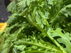 -巴奴毛肚火锅(广益哥伦布店)