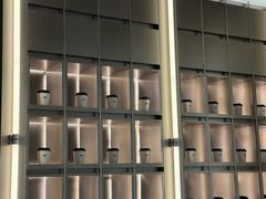 -M Stand(成都COSMO店)