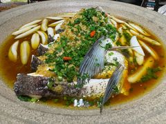 -谢氏老金口七号宴(武昌大道店)