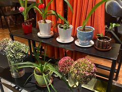 -小胖私厨状元宴·东北私房菜馆