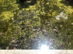 -国恩寺