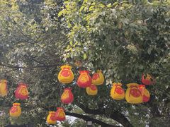 -衣裳街历史文化街区