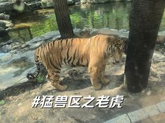 -北京野生动物园
