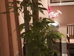 -御手国医·古法经络调理(光华店)