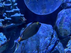 -成都浩海立方海洋公园