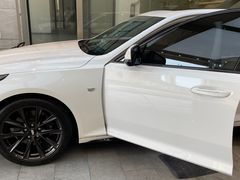 -脉冲品质汽美·贴膜(闵行店)