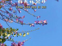 -香蜜公园