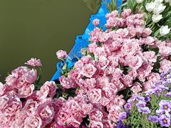 -上海鲜花港